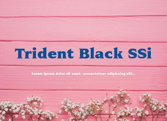 Trident Black SSi example